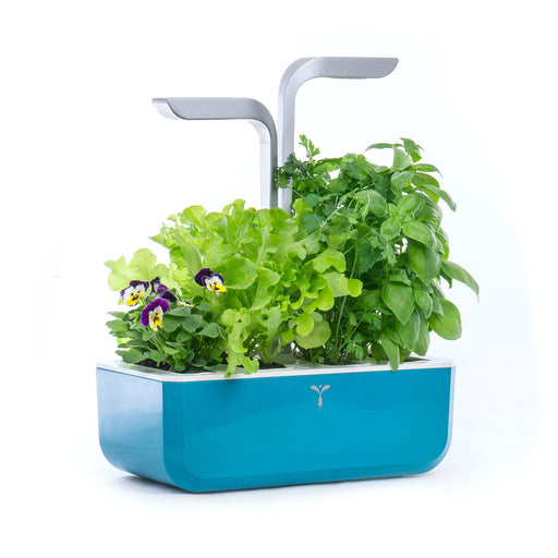 Veritable Smart Indoor Garden, Teal Blue