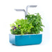 Veritable Smart Indoor Garden, Teal Blue